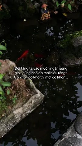 …#tamtrang #story 