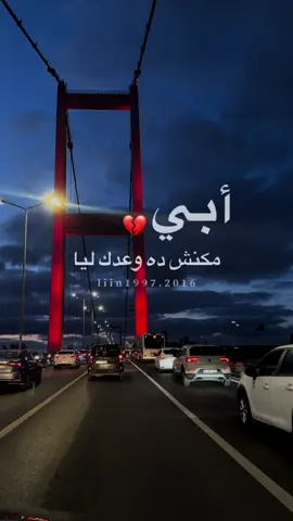 أبي 💔 الله يرحمك #مهى_فتوني #ياوحشني #اغاني #منوعات #تيك_توك_ 