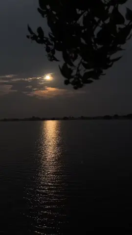 অতঃপর আমাদের আর কখনো দেখা হবে না, কথাও হবে না। তবুও আমরা একে অপরের অনুভবে রয়ে যাব! #foryoupage 