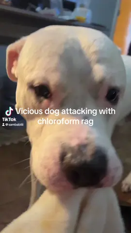 I’m just an innocent bystander 