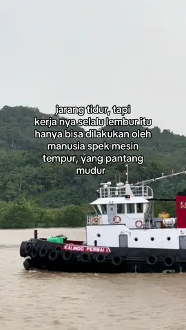 #pelautpunyacerita #fyp 