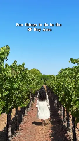 🚴‍♀️🍷 Fun Bay Area Adventure: Bike & Wine in the Vineyards 🌿 If you’re looking for a unique way to spend a day in the Bay Area, head over to Concannon Vineyard in Livermore wine country. This beautiful winery is home to Pedego Livermore, which recently moved its rental location from downtown Livermore right into the vineyard itself — making it super easy to explore the area! You can rent an e-bike and take a leisurely ride through vineyard trails and rolling hills while soaking in gorgeous views of the Livermore Valley. After your ride, settle in for a wine tasting — Concannon is famous for being America’s first to release Petite Sirah, and their Cabernet Sauvignon is also a standout. 🍇✨ They offer light bites, and on some days you’ll even find a food truck parked onsite for extra treats. It’s the perfect mix of adventure, relaxation, and wine tasting in one spot. Would you try biking through vineyards and then sipping wine after? 🍷🚲 📍Concannon Vineyard, 4590 Tesla Rd, Livermore, CA 🐕 Pet friendly  👧 Kid friendly on weekdays Fun activity in the Bay Area, Bay Area winery, Biking in the Livermore valley, Livermore valley wine #livermore#concannonvineyard#vineyard#biking#winery @Concannon Vineyard @Pedego Electric Bikes 