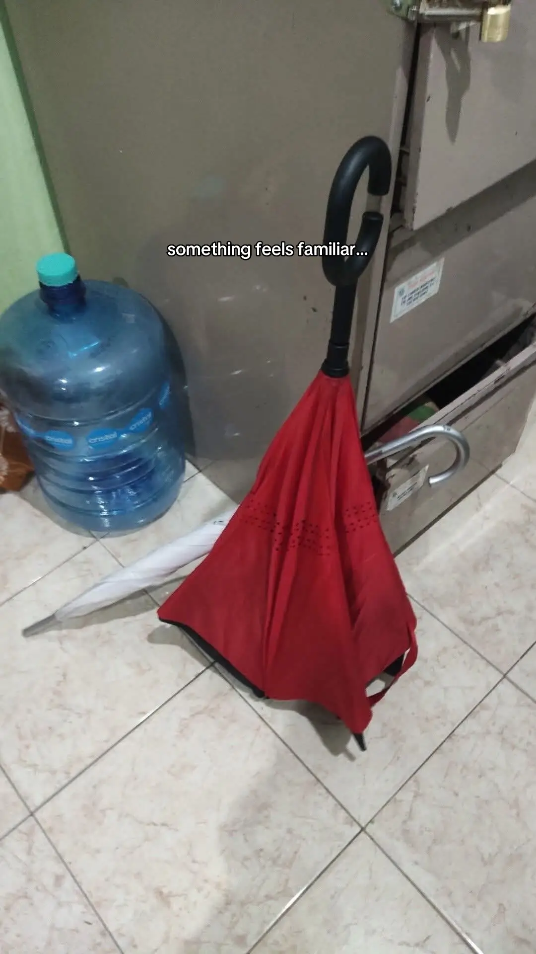 SHAW?! #hollowknightsilksong #hollowknight #Shaw (pic by: Carlos Tello) 