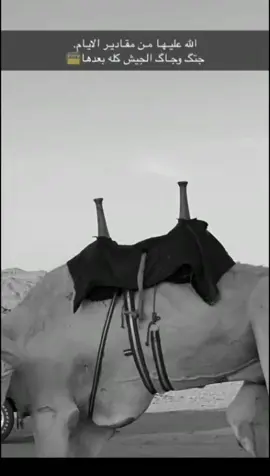 بجده #حقل_علقان_تبوك_نيوم_الشمال #زرعان