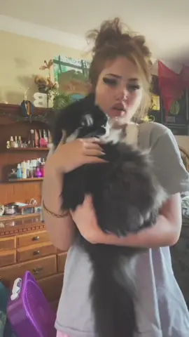 #kitty #fyp 