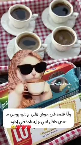 #Meme #MemeCut #بنغازي_طرابلس_ترهونه_رجمة_سرت_طبرق🇱🇾❤ #بنغازي_ليبيا✂️🔥🇱🇾🔥🇱🇾🔥🇱🇾 #بنغازي_طرابلس_ترهونه_رجمة_سرت_طبرق 