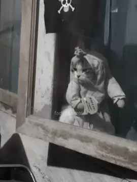 Malaikat maut akan datang mencabut nyawa #ceramah #lucu #ustadzabdulsomad 