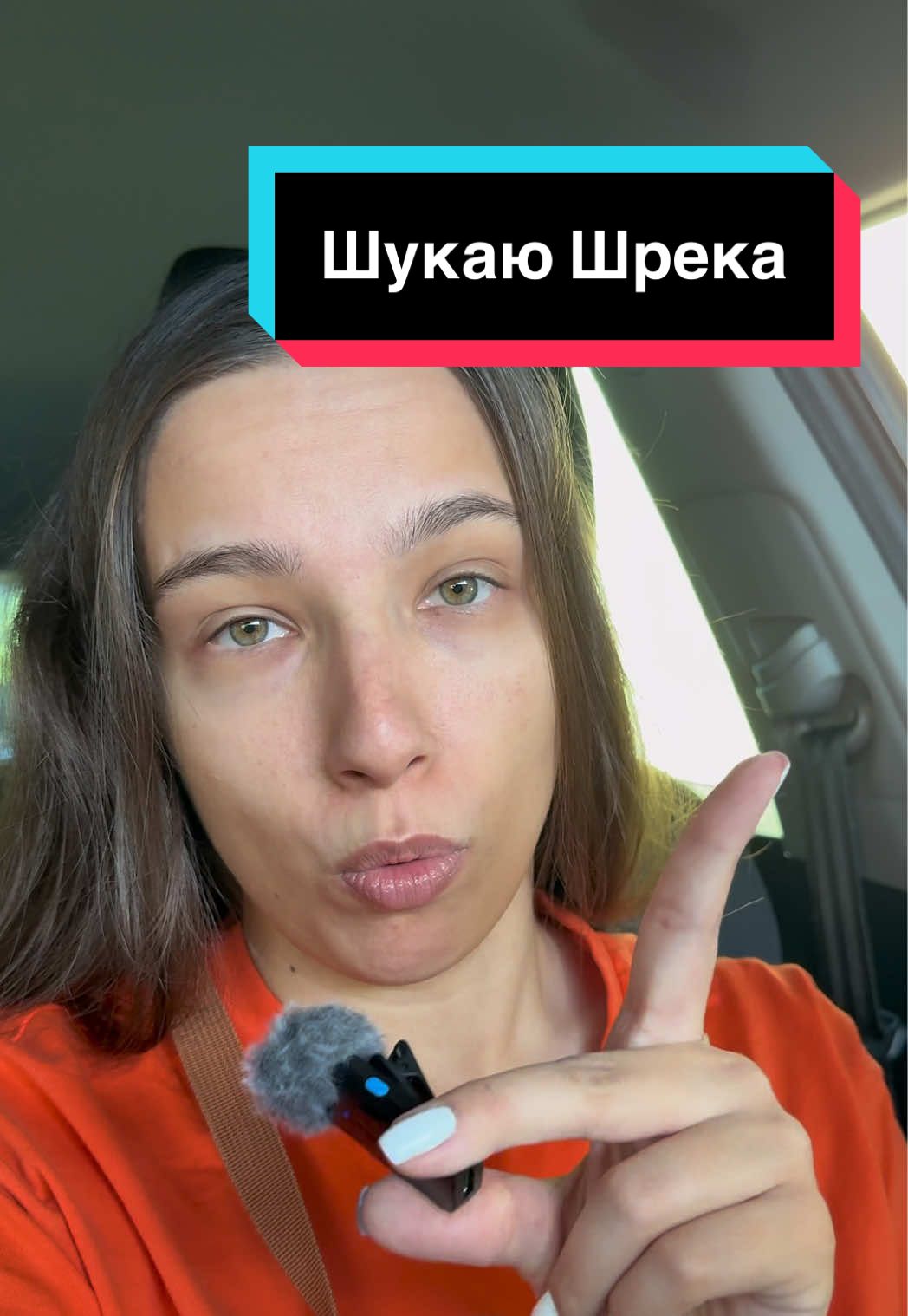 Replying to @🦈 пішла шукати🏃🏻‍♀️ #лідапрокіно #колекціонування #шрек #shrek #будинок_іграшок_community 