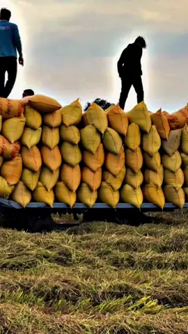 anh em kết thúc cỡ nào rồi anh em của tôi chắc nó cỡ này nè khủng lắm nha không