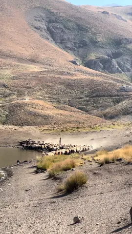 دەریاچەی مامە شێخ