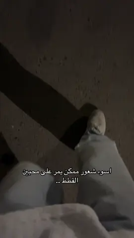 🙁صح لو لا؟ #fypツ #pyyyyyyyyyyyyyyyyyyyyyyyyyyyyy #قطط #❤️❤️❤️ #Love 