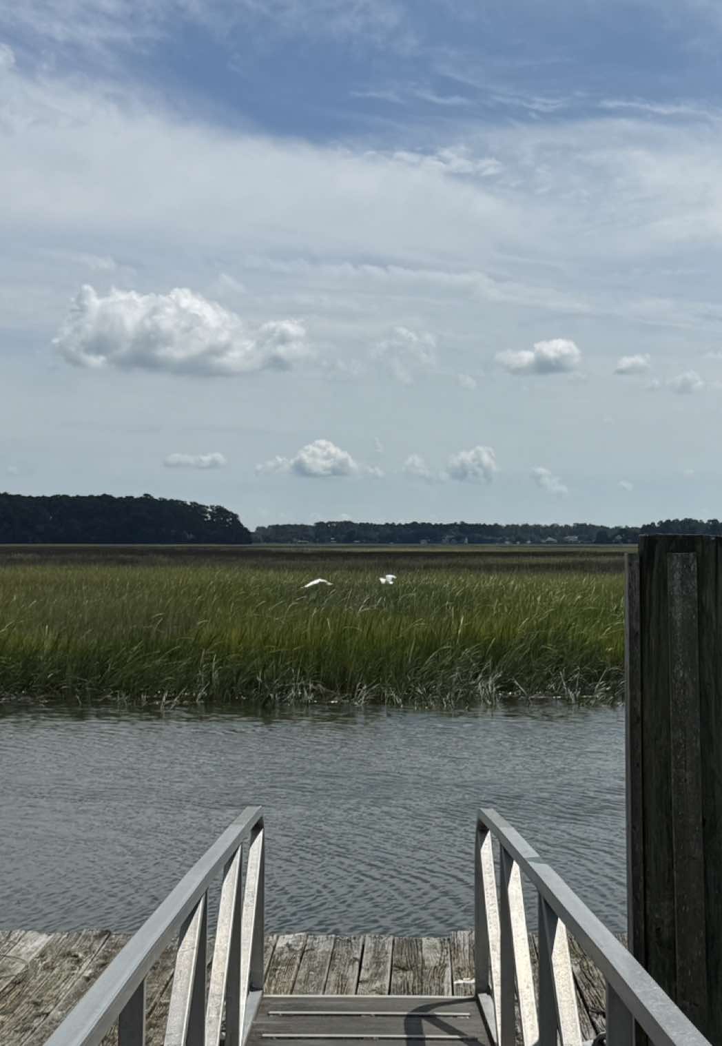 🍑🌊🍹🫐🍉 #lowcountry #savannah #southgeorgia #coastal 