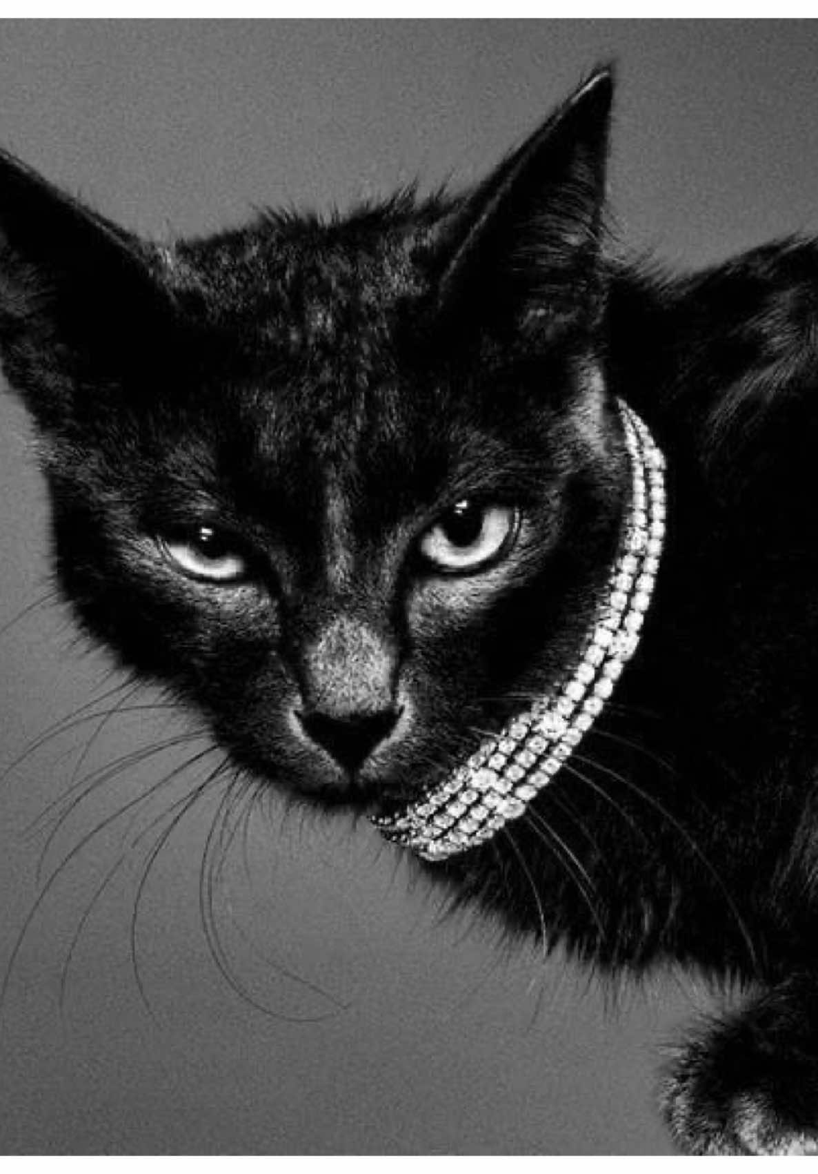 Shiesty in all black 🖤 #fyp #outfit #viralvideo 