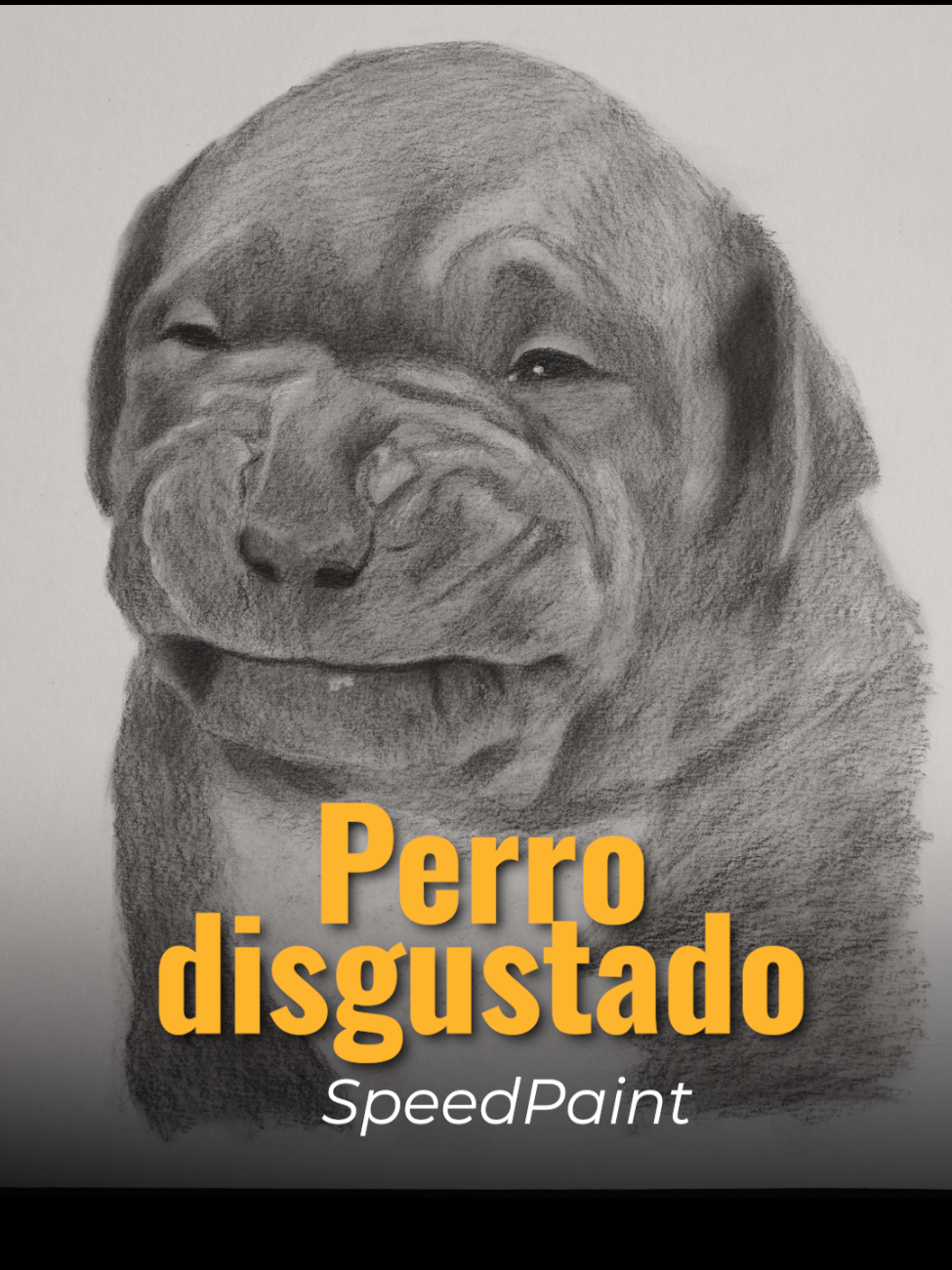 ♥️¿Porque no creer en el amor?♥️. Descúbrelo en este speedpaint del perrito disgustado. Acepto críticas, reclamos, comentarios, guardados y compartires. #arte #retrato #mascotas #meme #speedpaint 