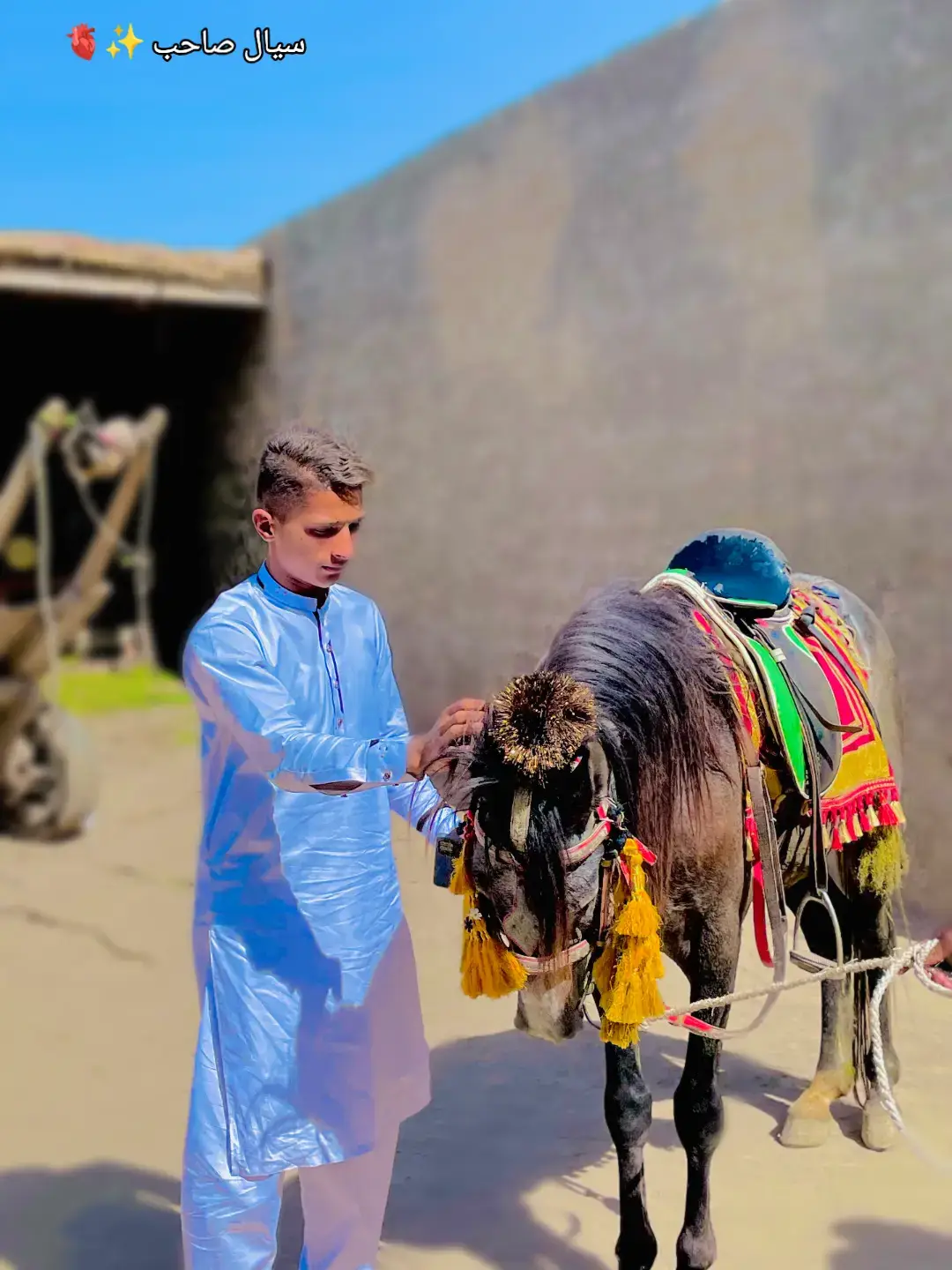 BranD Horse🐎 #viral #foryou #tiktokgrowth #trendingtiktok #foryoupage 