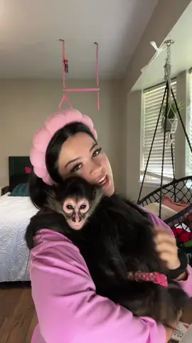#monkeybaby #trending #foryoupage 