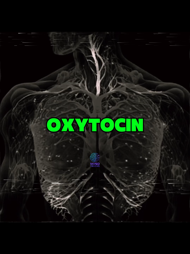 Oxytocin... #Neuroscience #psychologyfacts #brainpower #psychology #oxytocin 