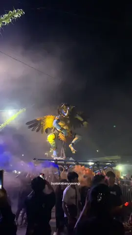 GREDOAN MACANPUTIH 2025 #gredoanmacanputih #banyuwangi #bwi24jam #ogohogoh #fyp 