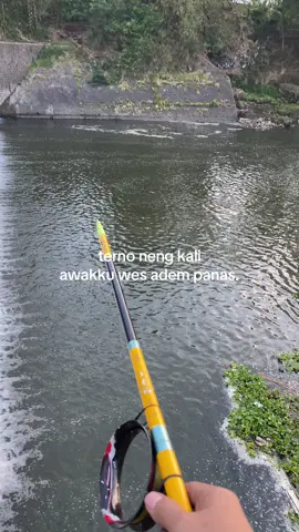 🤧#mancingliar #storymancing #fyp #foryoupage 