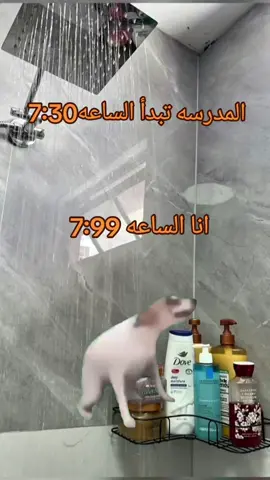 ي عيني على الاستحمام🛁🧼#ليبيا🇱🇾 #بنغازي #طرابلس #رياكشن #الشعب_الصيني_ماله_حل😂😂 #بنغازي_طرابلس_ترهونه_رجمة_سرت_طبرق #fyp #ايتاشي🇱🇾 