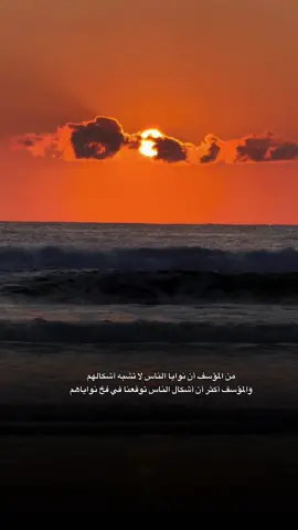 #CapCut #عبارات 