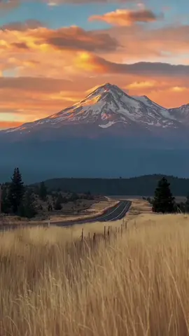 Wait, it's time to take a break.#nature #hopecore #chill 