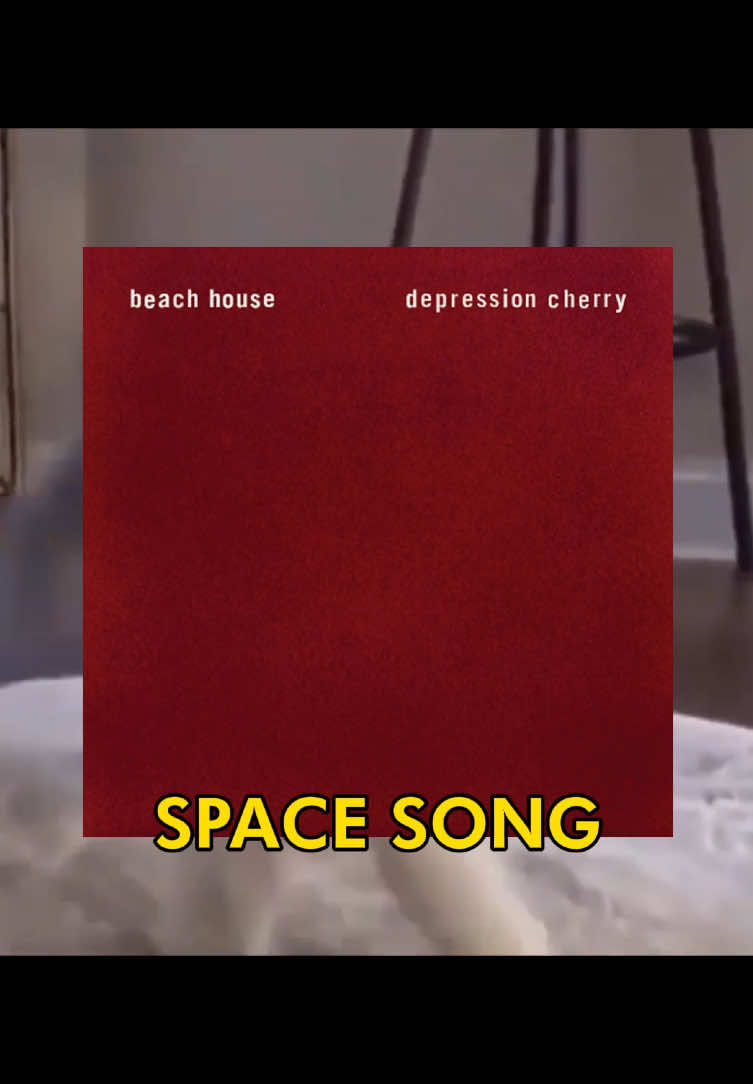 🗣️🗣️ IT WAS LATE AT NIGHT 🔥🔥 #catcore #cat #beachhouse #catsoftiktok #songoftheday 