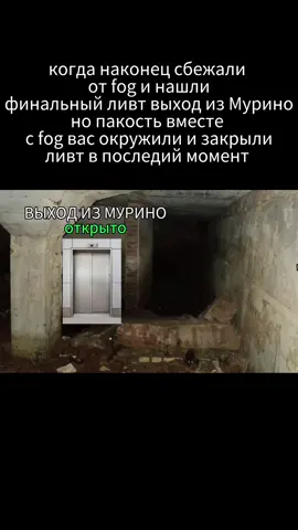 затем они вас вместе с другом обезглавили 😂😂😂 #ч #друн #мурино #fog #thefogiscoming #мелстрой