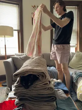 laundry day featuring a special guest #blackcat #laundryday #hideandseek 