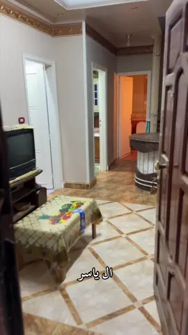 #راس_البر_الان 