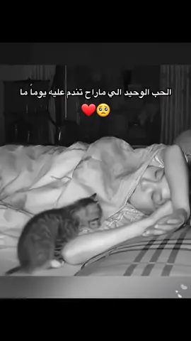 هل تتفق حب #الحيوانات🤍 الشي الوحيد الي مراح تندم عليه 💔🥺