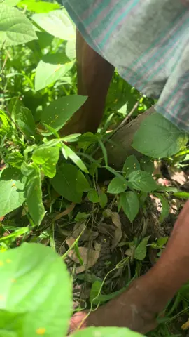 #foryou #trending #vairal #shakilvai302 