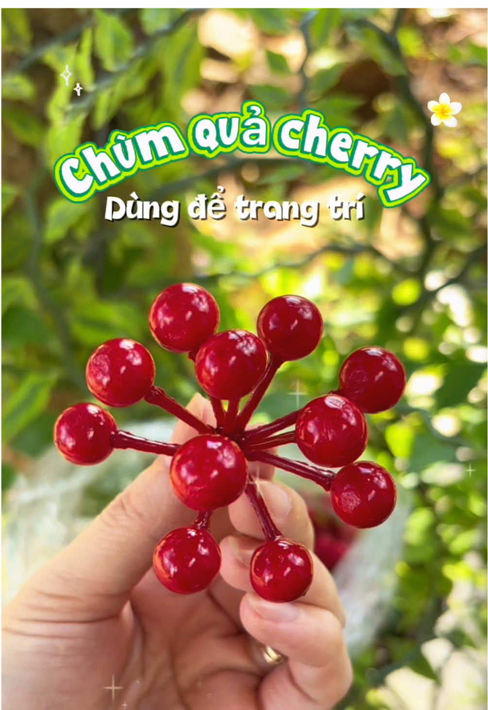 10 chùm quả cherry chỉ 35k, điểm tô lẵng quà, giỏ quà thêm xinh, ngoài ra có thể trang trí cho những ngày lễ trọng đại🍒 #phukientrangtritet#phukientrangtrithapbanh#phukientrangtrigiangsinh#phukientrangtrigioqua#dotrangtri  @SHOP BUN HEO  @SHOP BUN HEO  @SHOP BUN HEO 