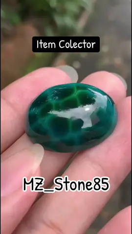 ini bukan kura-kura ninja 🤭 #batubacan #batubacanindonesia #bacanpalamea #bacandoko #batubacandoko 