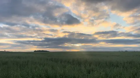 Is this the Vinland guys ? #vinland #hopecore #peace 