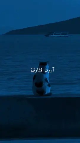 #آهنگ_عاشقانه #ارون_افشار #foryou #tiktokviral #tiktok 