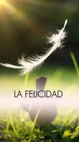 Frases #frase #reflexion 
