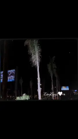 #CapCut #السعادة_لقلوبكم🌹 