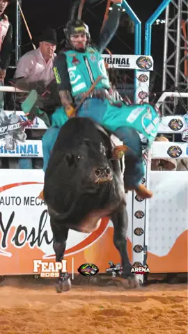 Moda bruta. 🔥. #rodeio #touro #rozeta #rodeioemtouros 