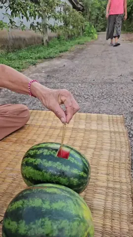 แบบนี้แตงโมหมดไวแน่ๆยาย🍉😂🤣 #fyp #reelsviral #reelsfyp #facebookreels #fbreels 