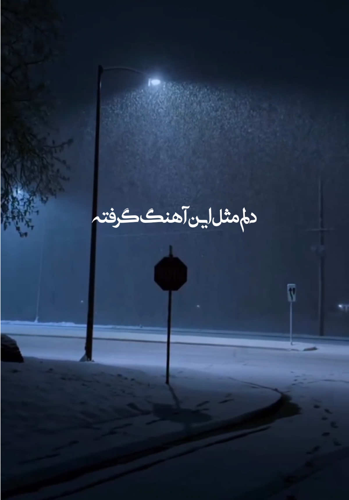 ོ🖤 <br>‌‌ <br>‌‌ <br>‌‌ <br>‌‌ <br>‌‌ <br>‌‌<br>‌‌ <br>‌‌<br>‌‌<br>‌‌<br>‌‌<br>‌‌<br>‌‌<br>‌‌<br>‌‌<br>‌‌<br>‌‌<br>‌‌ <br>‌‌ <br>‌‌<br>‌‌<br>‌‌<br>‌‌<br>‌‌<br>‌‌<br>‌‌<br>‌‌<br>‌‌<br>‌‌<br>‌‌<br>‌‌<br>‌‌<br>‌‌<br>‌‌<br>‌‌<br>‌‌ <h id=