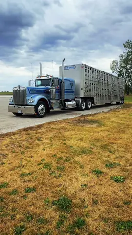 One pretty awesome ole ride! #oldschool #DyinBreed #dub9 #fyp #cowtruck 