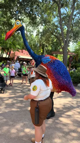 Kevin has to be my favourite 🥹😍 #kevin #birdofparadise #up #disney #animalkingdom 