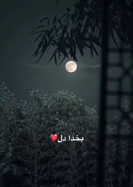 #CapCut #تاجیک_هزاره_ازبک_پشتون_ترکمن🇦🇫 #fypシ゚viral #fyp #fyp 
