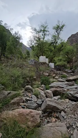 #يافع  #يافع_مناظر_خلابة #يافع_الساحره_بجبالها_تلب #يافع 