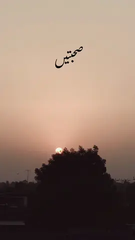 part 1²⁵..  پھر یوں ہوا کہ زندگی کچھ زیادہ  خاموش ہو گئی ہے  آنکھیں اب خواب نی دیکھتی  اور دل یقین کھو چکا ہے  💔 #urdupoetry #lines #fyp #foryoupage #foryoupageofficiall 