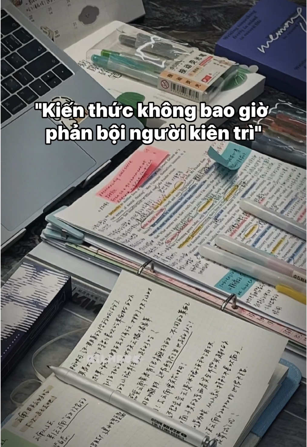 Nhớ nhé 😗 #CapCut #viral #hoccungtiktok #studymotivation #inspotostudy 