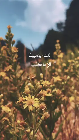 🌻 #photography #شهيدنا_الاقدس #design #followme #explore 