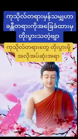 ###ကျောက်မဲဆရာတော် 🙏🙏🙏###ကုသိုလ်တစ်ခုနေ့စဉ်ပြု🙏🙏🙏 ###တရားတော်များ🙏🙏🙏 ###ဗုဒ္ဓါနုဿတိဘာဝနာ🙏🙏🙏 ##