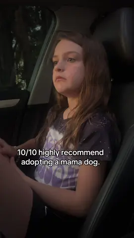 Bc we all know—it takes a village. #germanshepherd #gsd #dogsoftiktok 